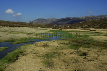 Wetland on Coccionne plateau Corse France