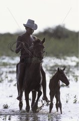 Young rider and foal in a marsh Marajo Brazil