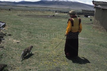 Chat de gouttière tenu en laisse par un moine Tibet