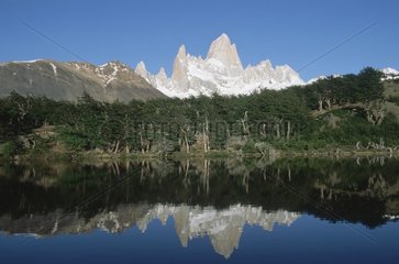 Argentine  Patagonie