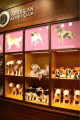 Stuffed toys of dogs in a toys store New York