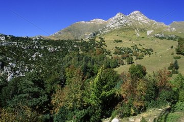 Sight of the valley of Bujaruelo in autumn Spain