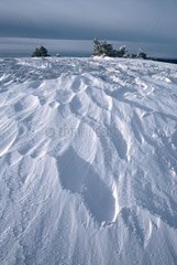 Landschaft mit Schnee in Auvergne France [at] bedeckt