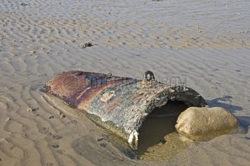 Cast-iron can grounded on a beach Ré island France