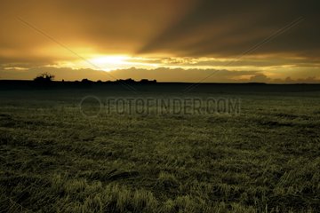 Sunset on a cut field