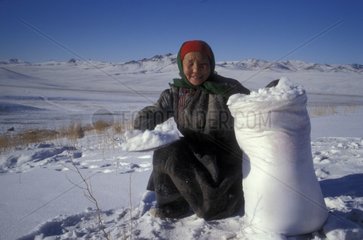 Woman collecting of snow to obtain water Mongolia