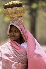 Woman going to th market Madhya Pradesh Bandhavgarh NP India