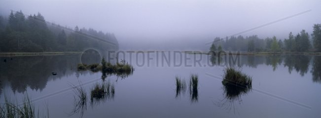 Tourbière und Lac de Lispach unter dem Nebel im Herbstvosges