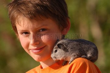 Enfant avec son cochon d'Inde gris sur l'épaule