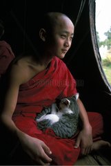 Cat sleeping on a young monk in a temple Burma