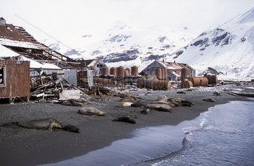 Whaling Station Cumberland verlassen Südgeorgien