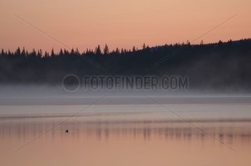 Mitternacht Glanz auf einem Schwedisch des Kiruna -Lapplandsees
