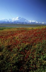 Alaska range and Mac Kinley mount in automn