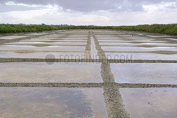 Salt marsh of Guerande France