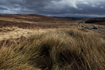 Road over the moor Scotland UK