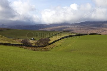Landscape of heathland Scotland UK