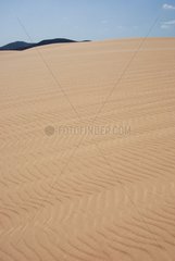 Dunes of Corralejo on the island of Fuerteventura in the Canaries