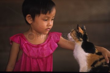 Chaton de gouttière et petite fille Cambodge