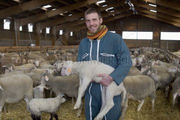 Stockbreeder mit seinen Schaf