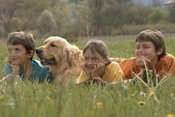 Golden retriever and children laid down in meadow France