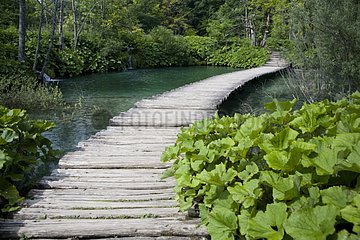 Footbridge on a Lake Plitvice Lakes NP in Croatia