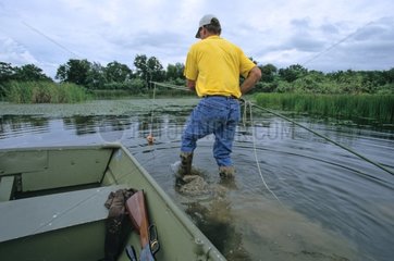 Bill Howell preparing bait for Alligator Texas USA