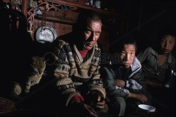 Rinnenkatze mit einer Tibet -Familie sitzen