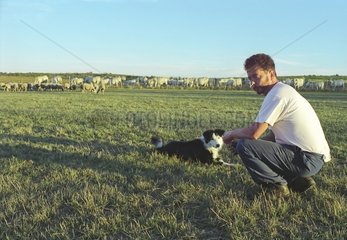 Berger and his dog in a meadow France