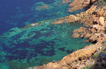Rote Granitküste in Richtung Girolata Corse Frankreich