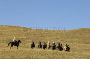 Cowboys im Bison Roundup Custer State Park Black Hills