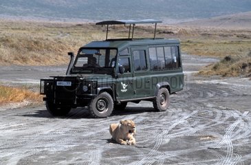 Tourisme animalier en Tanzanie