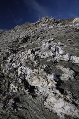 Formation of schist mixed with quartz on the coast France