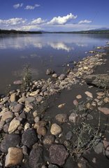 Pebbles on the banks of the Mackenzie River Canada