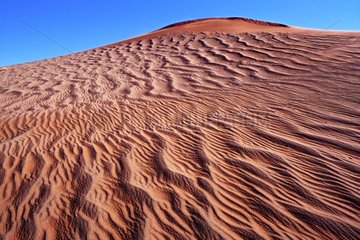 Dunes in the Desert of Namib Sossuvlei Namibia