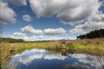 Cloud refelction in a peat bog in Belgium