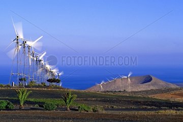 Windmills in the Canary Islands Spain
