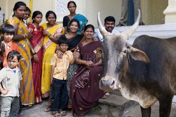 Group of people around a cow in Mysore India