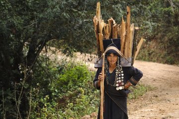 Woman of the Akha Pixo minority caarying wood Laos