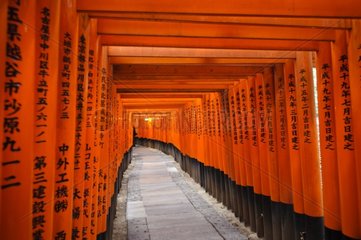 Row of Torii Fushimi Inari taisha temple Japan