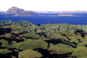 Island of Antares Kerguelen TAAF