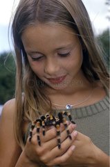 Young girl holding a tarantula in her hands