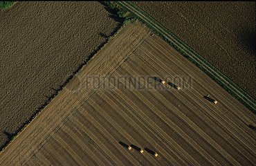 Air sight of a rural sculpture of fields