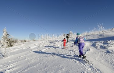 Walkers with snowshoes Ballon des Vosges NRP France
