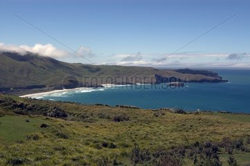 Otago Peninsula South Island New Zealand