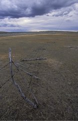 Old fence Grasslands National Park Saskatchewan Canada