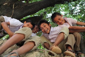 Children playing in a tree during the recreation in Laos