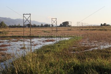 Power line above the Inle Lake in Burma