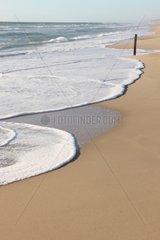 Sandy beach of the Atlantic coast Landes France