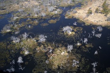 Aerial view of Delta Botswana Oravango
