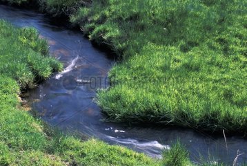 Stream in a meadow in the Creuse